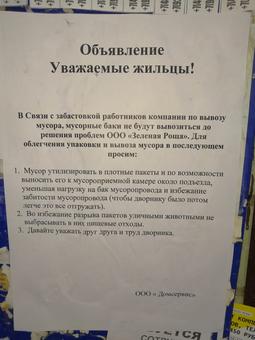 Работники «Экологистик» в Орле объявили забастовку - Новости Орла и  Орловской области Орелтаймс