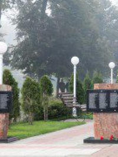 IMG_2050(2)
