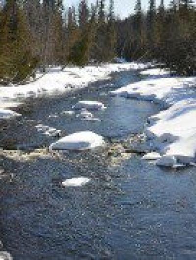 winter-river-landscape-nature-water-white-forest-snow-weather