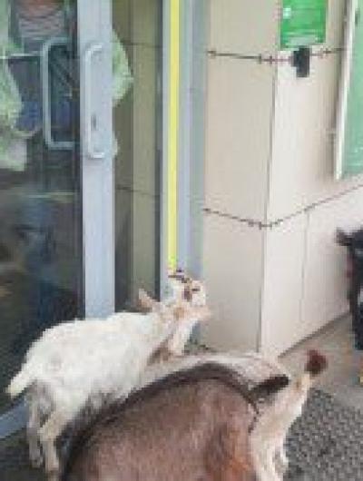 photo_2023-10-01 13.58.58