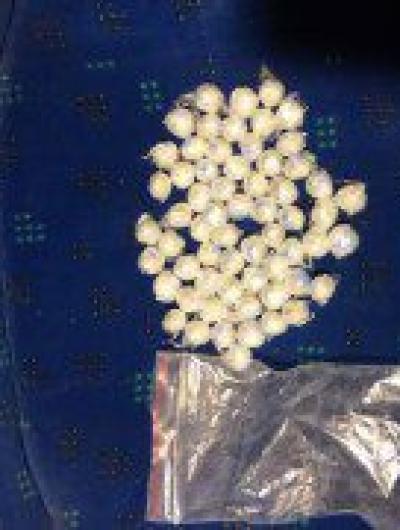 2ec0611b-b0b4-4184-be66-fdec001a1912