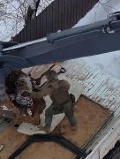 photo_2026-01-31_19-27-08