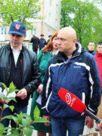 парахин и саженцы