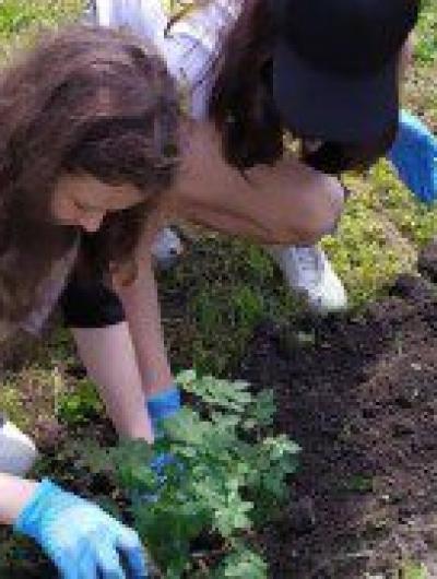 Шатиловская усадьба - родовое гнездо_5