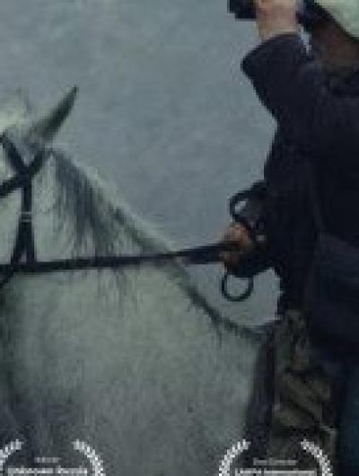 Wink_декабрь_002