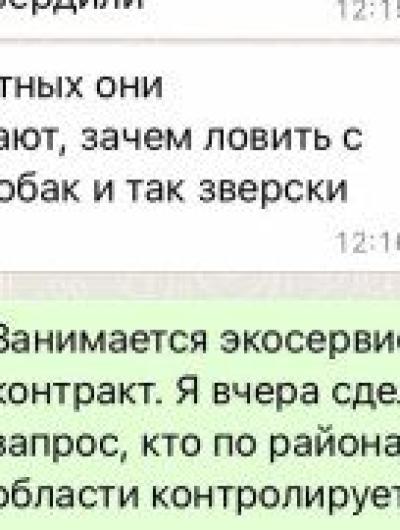 Qcb19AMyJqY