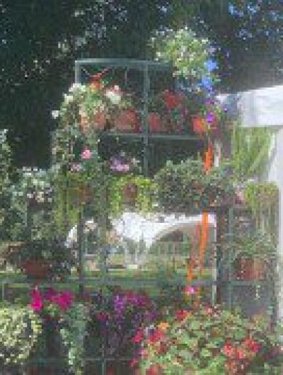 Фестиваль цветов 4_1