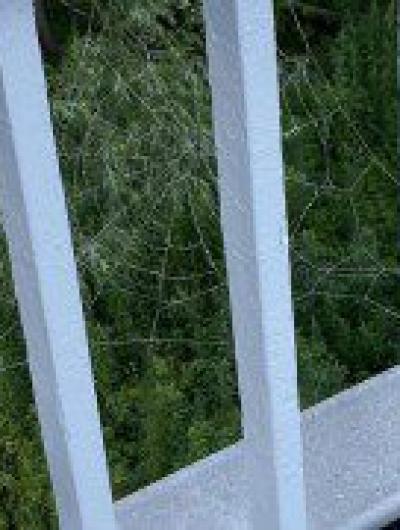 Орловские коммунальщики «перестарались» при подготовке Герценского моста ко Дню города