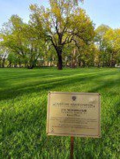 Мечта Тургенева в Михайловском парке