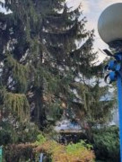 photo_2025-12-24_14-02-07