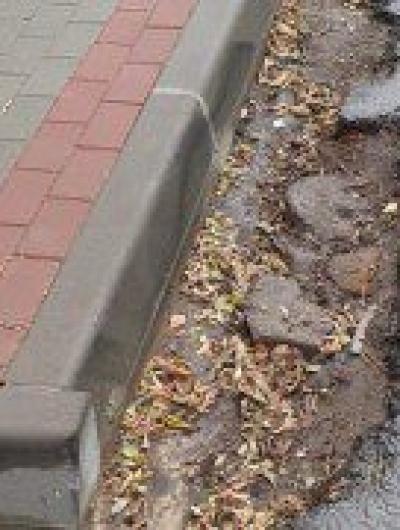 photo_2021-10-21_11-01-52 (2)