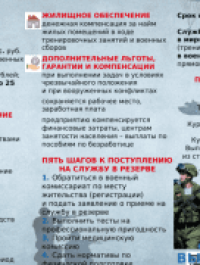 барс