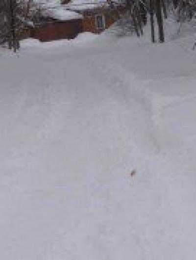 дорога к мебельной