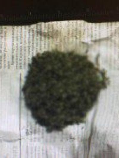 IMG-20210402-WA0001-800x600