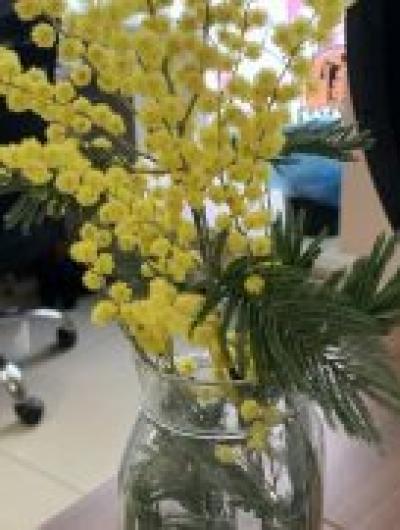 photo_2026-03-05_09-51-23