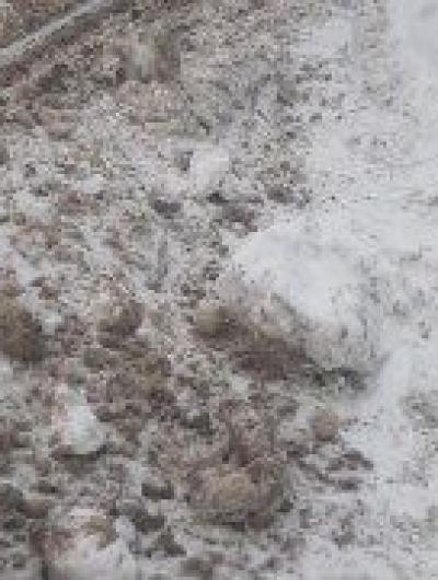 photo_2022-01-05 09.14.22