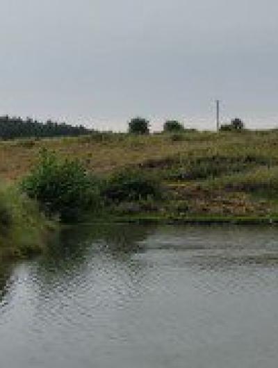 IMG_20240718_184051_455