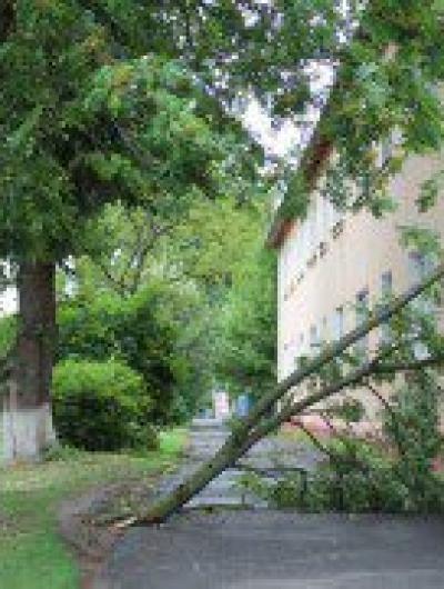 51c24f76-5721-490b-a5a9-1a759c27955d