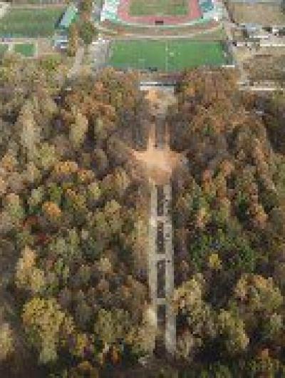 DJI_0980-