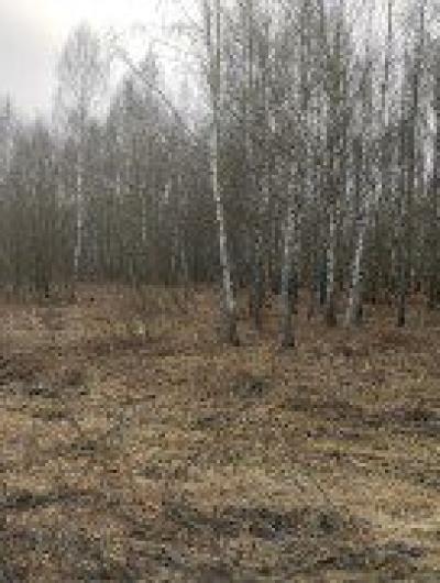 IMG_20250311_111453