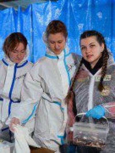 волонтёры (2)