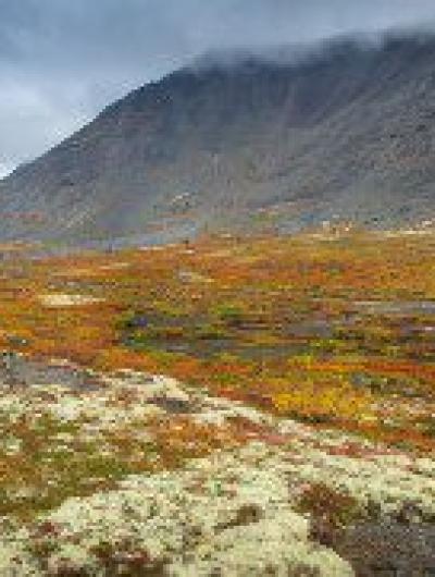 полуостров1