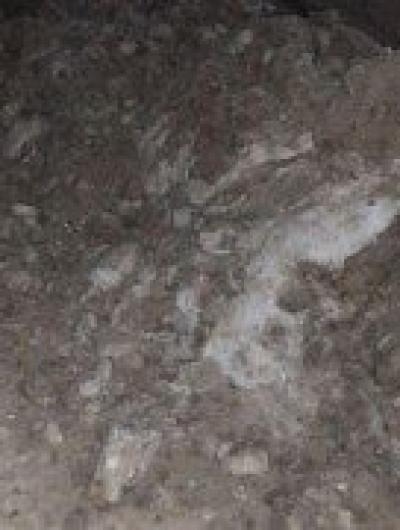 photo_2022-01-05 09.14.20