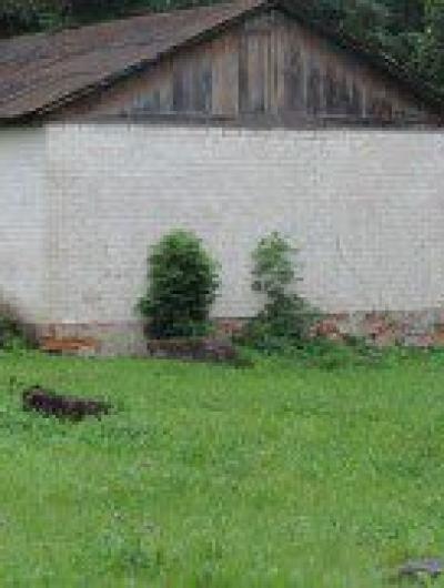 молочная кухня_1