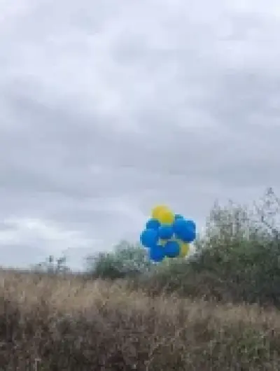 шары