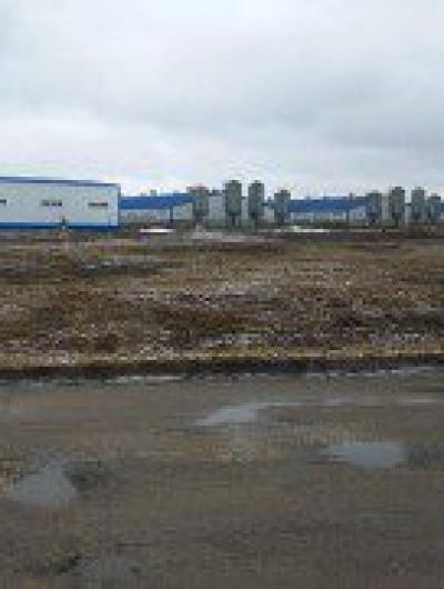 WhatsApp Image 2022-04-04 at 15.43.53