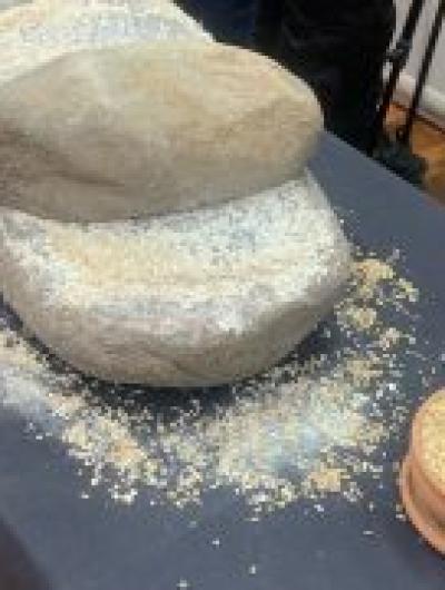 археология9