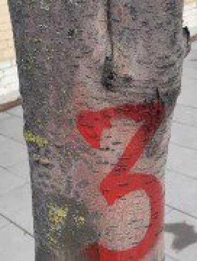 bJB6ZYblHiw