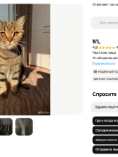 объявление