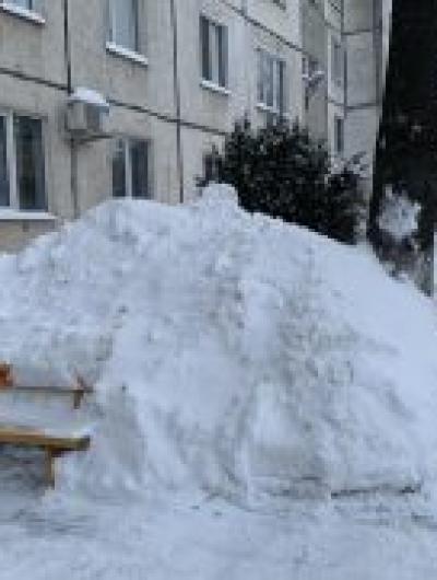 photo_2026-02-20_09-44-39