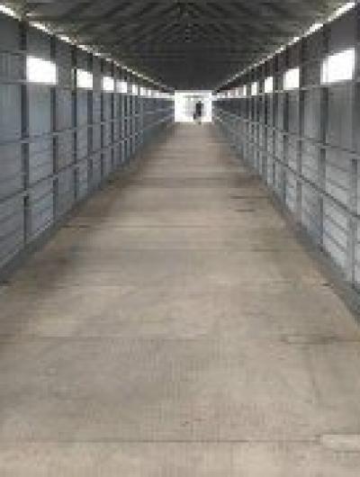 Красный мост6