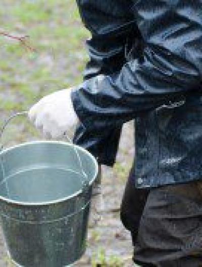 Парк Победы 2