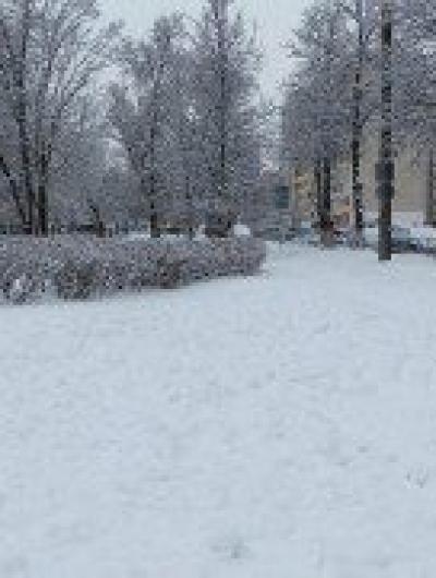 снег(1)