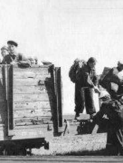 Болховская кукушка (1)