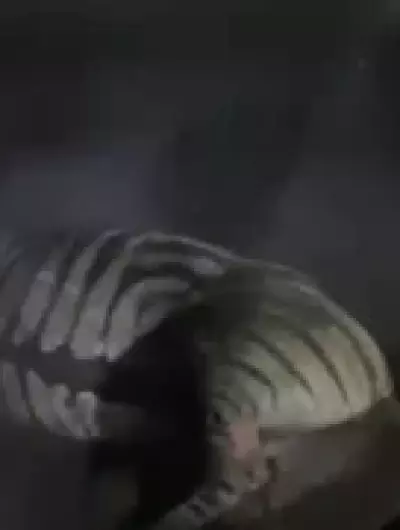пожар