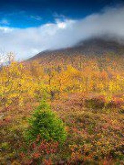 полуостров 3