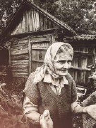 сасин 6