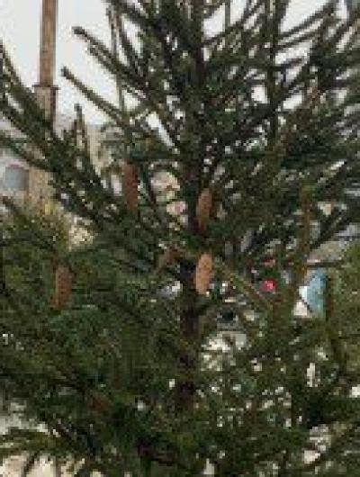 photo_2022-12-22_13-13-49