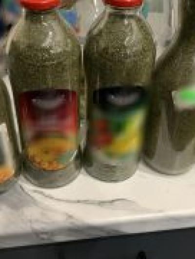 IMG_20260119_154444_019