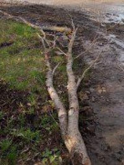 OLE1WcfqKaJYbrBO21O0ZGMdhHJ1JqemVlPAefRTbX9cfaiof7rLI6KYmcBK9qR1-icWN-mmm1OpQu4CbUo5Mw78