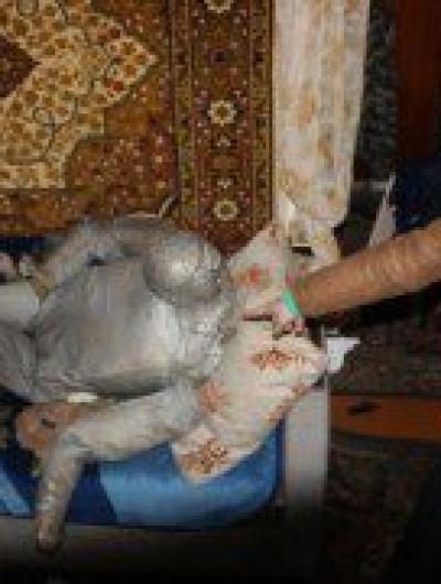 IMG_9572-418x320