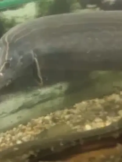 мастцембел 2.h8xM1cO-5ZRm3jxIH0wW9nFY9HC6anfBrNRzzpzsB6U