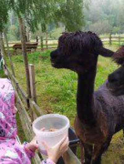 Туристы из Орла попали на самую экзотическую ферму в России 2