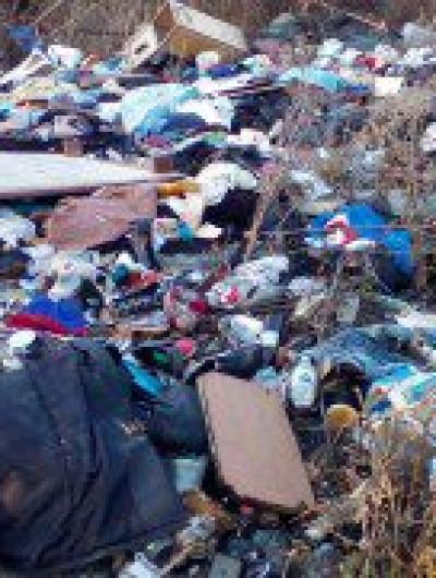 WhatsApp Image 2020-10-31 at 13.14.35