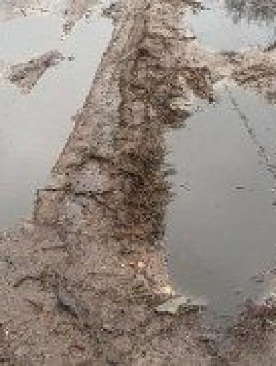 Воровского