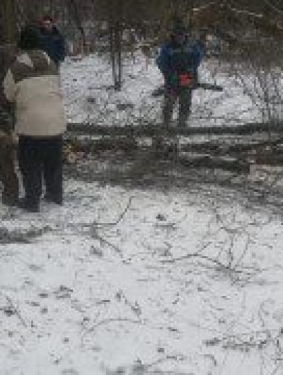 валежник 3